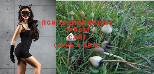 ALPHA PVP Осташков