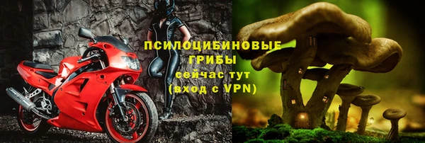 дживик Нязепетровск