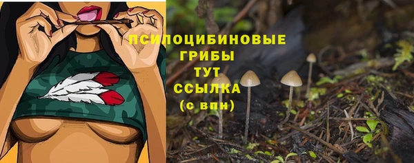 ALPHA-PVP Осинники