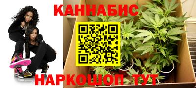 крисы Беслан