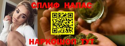 крисы Беслан