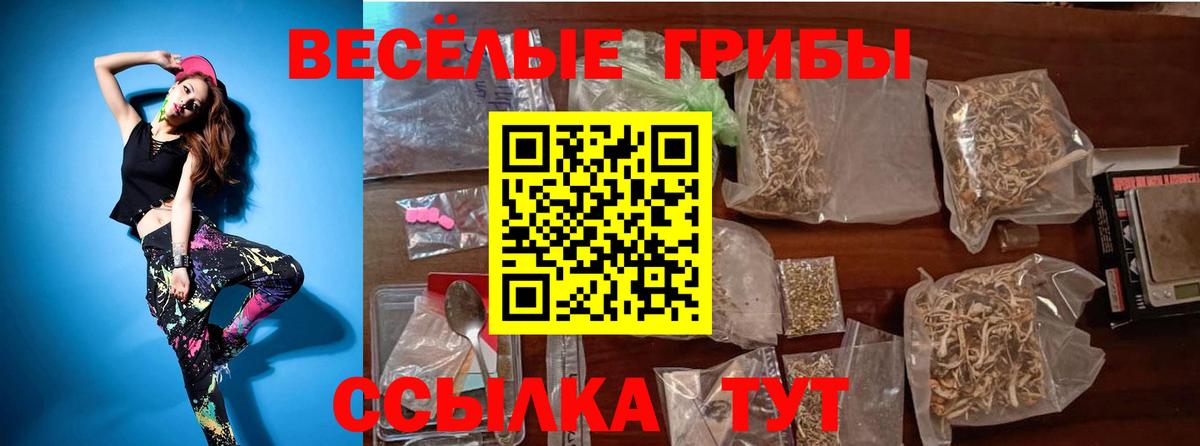 Псилоцибиновые грибы Cubensis Верхняя Салда